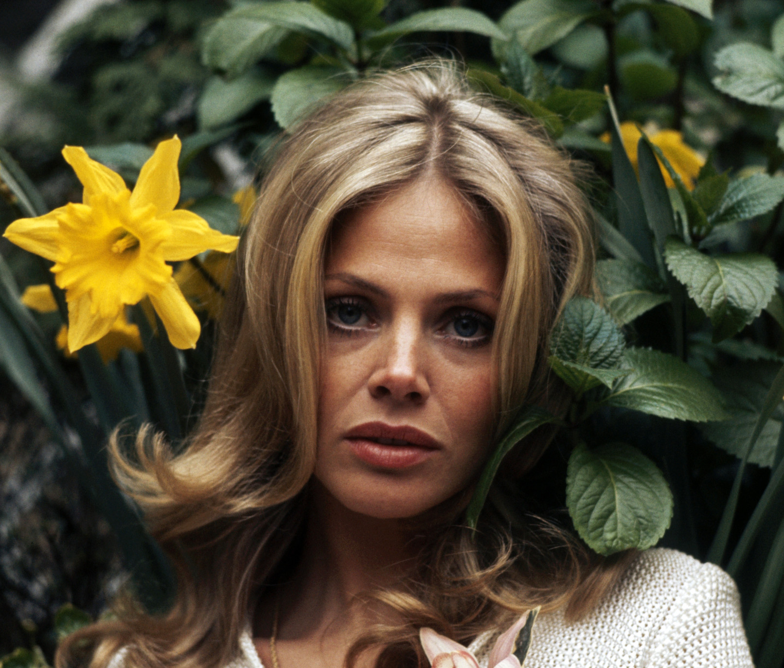 Britt Ekland Annex